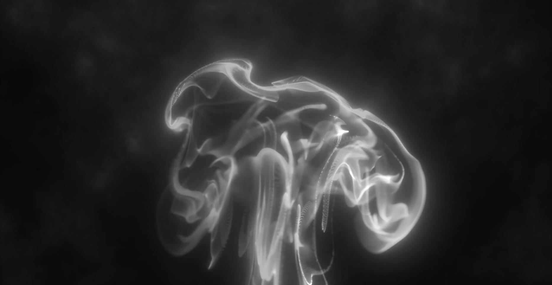 Ambiente di lavoro collaborativo per lo studio dell'intelligenza artificiale spiegabile